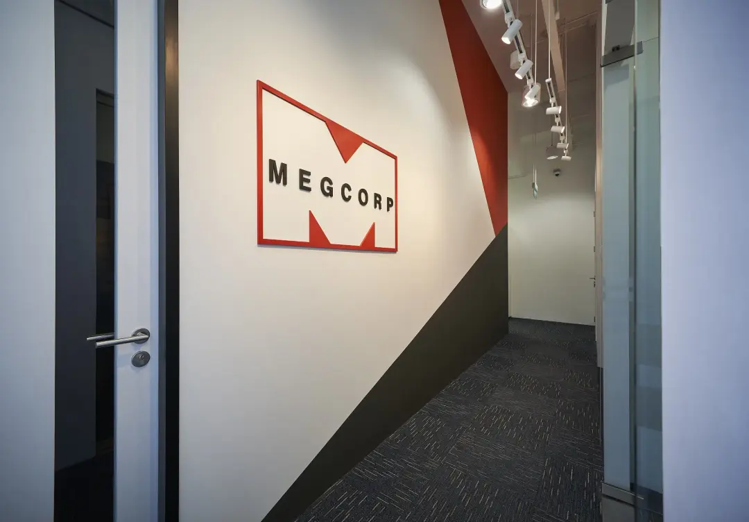 Megcorp & Co
